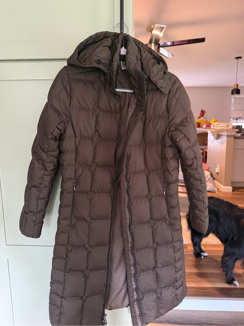 Patagonia Quilted Hooded Long Puffer Coat - Brown